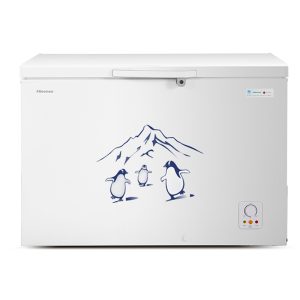 Hisense 400L Chest Freezer | FC-40DT4SB1 Hisense
