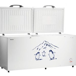 Hisense 660L Chest Freezer-White