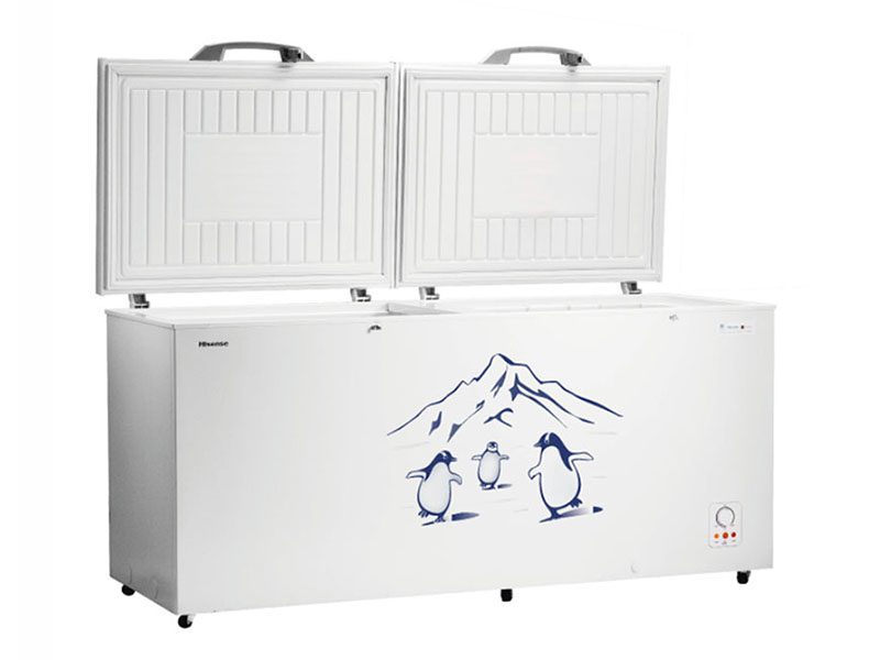 Hisense 660L Chest Freezer-White